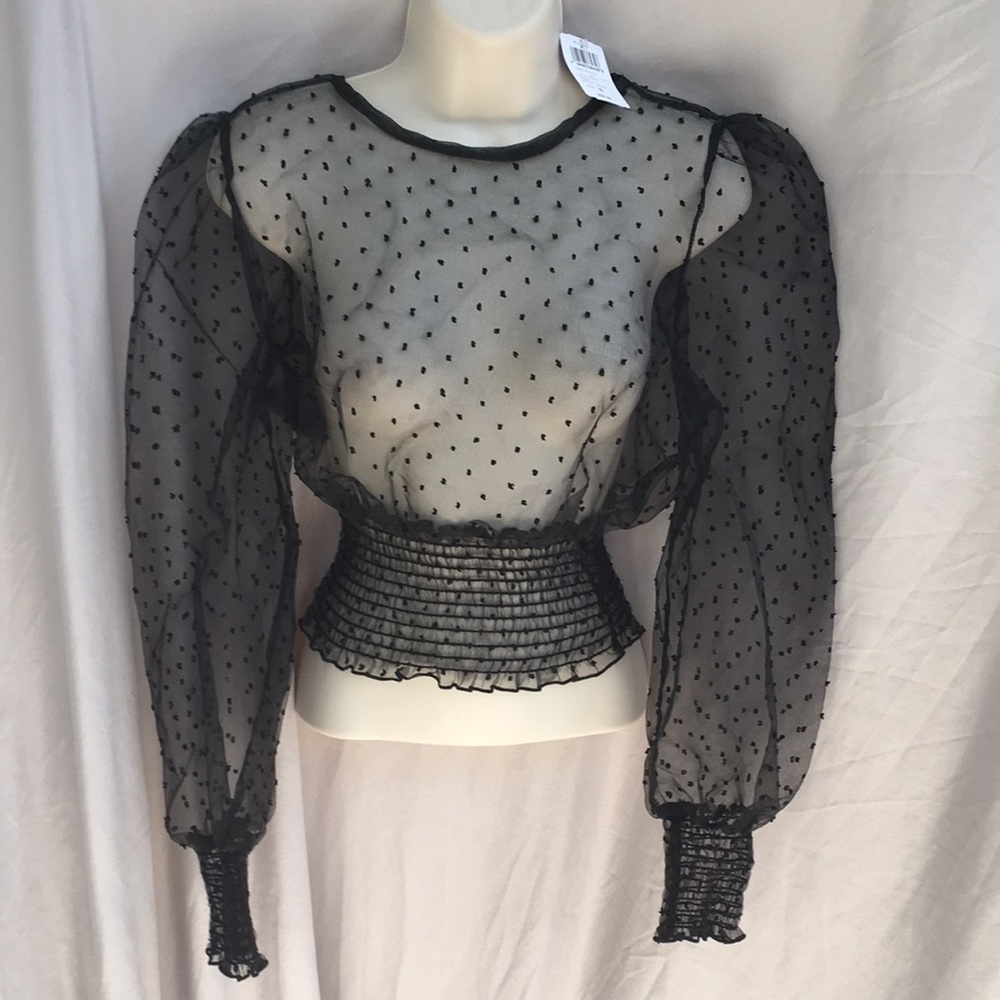 WINSOR-Sexy Sheer black Fitted top! New with tag!